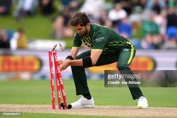 shaheen shah afridi