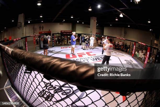 UFC in Las Vegas