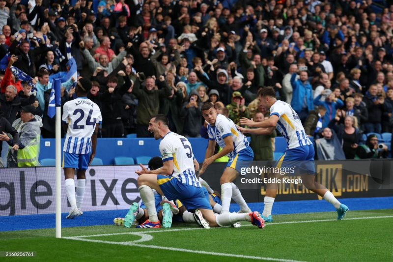 Brighton celebratin win against Manchester United