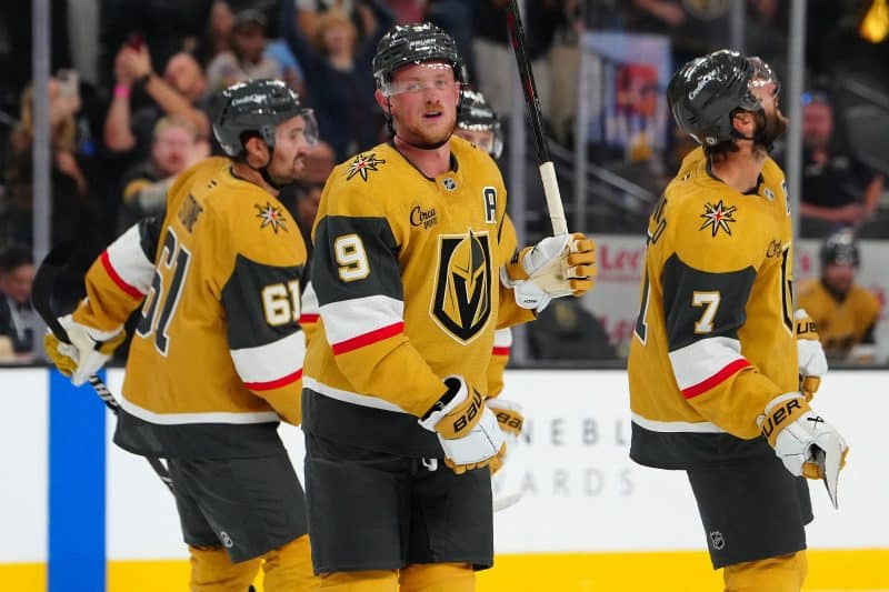 The Vegas Golden Knights enter an important NHL season.