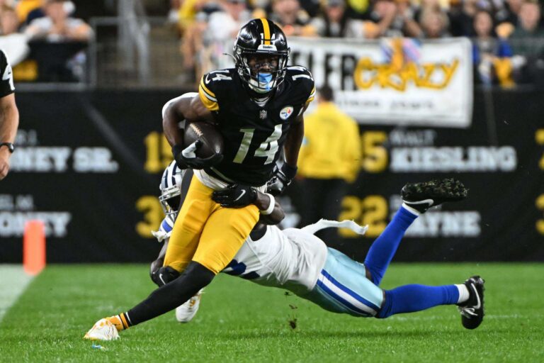 steelers bengals