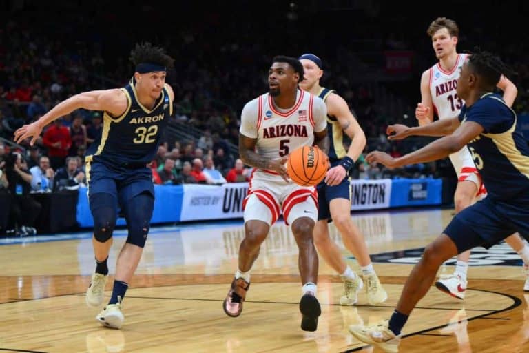 Arizona Wildcats