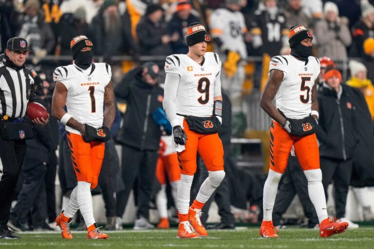 cincinnati bengals
