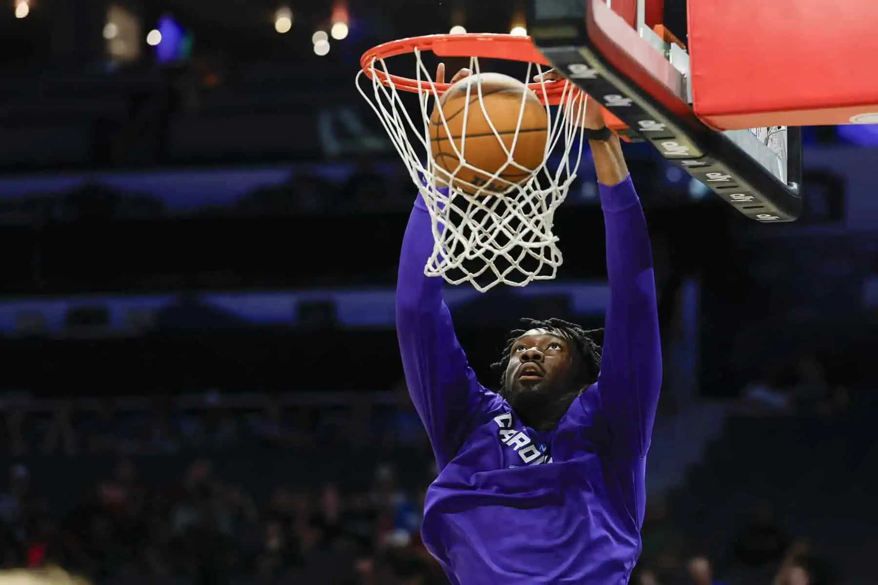 Mark Williams, Los Angeles Lakers, Charlotte Hornets