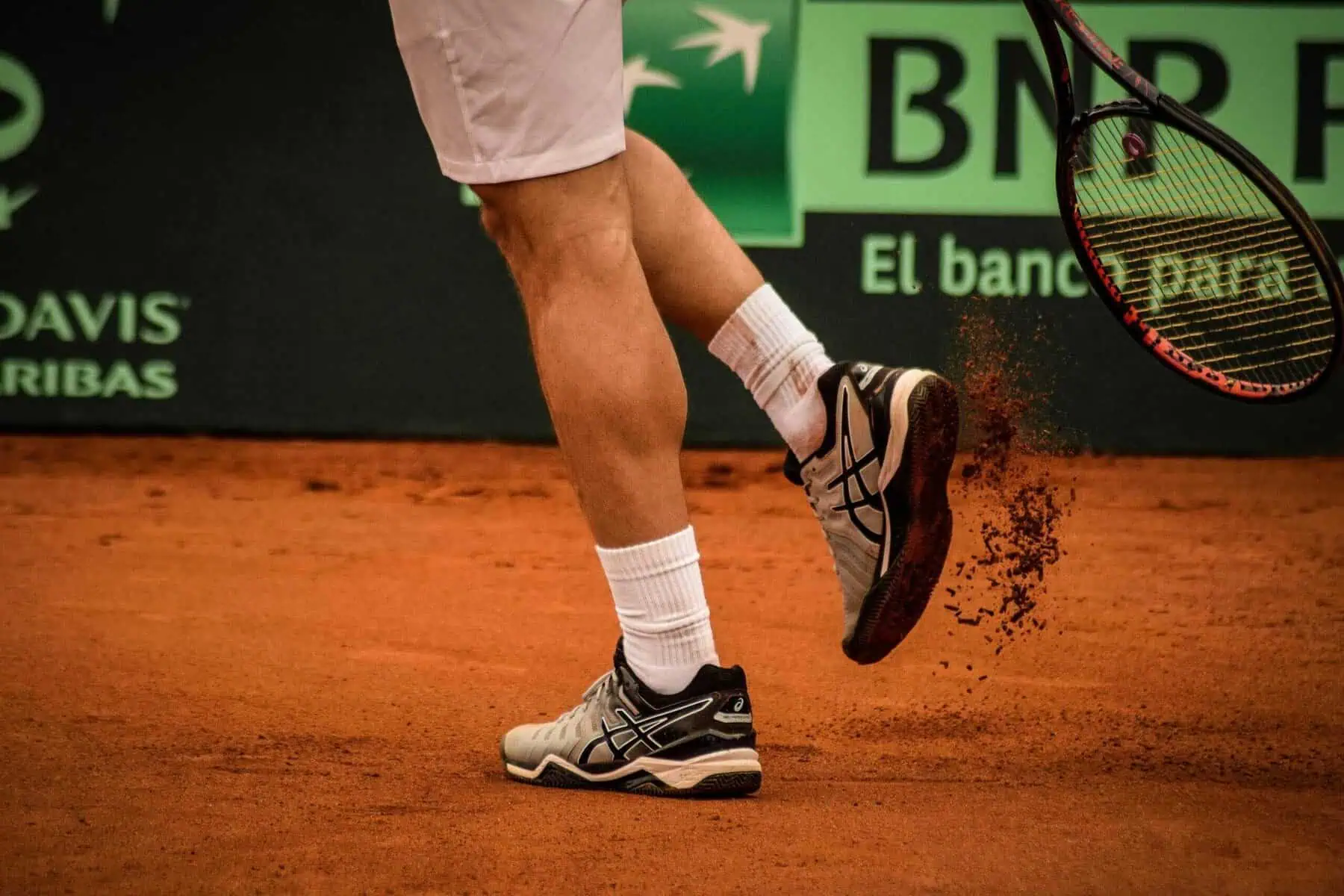 Joao Fonseca tennis