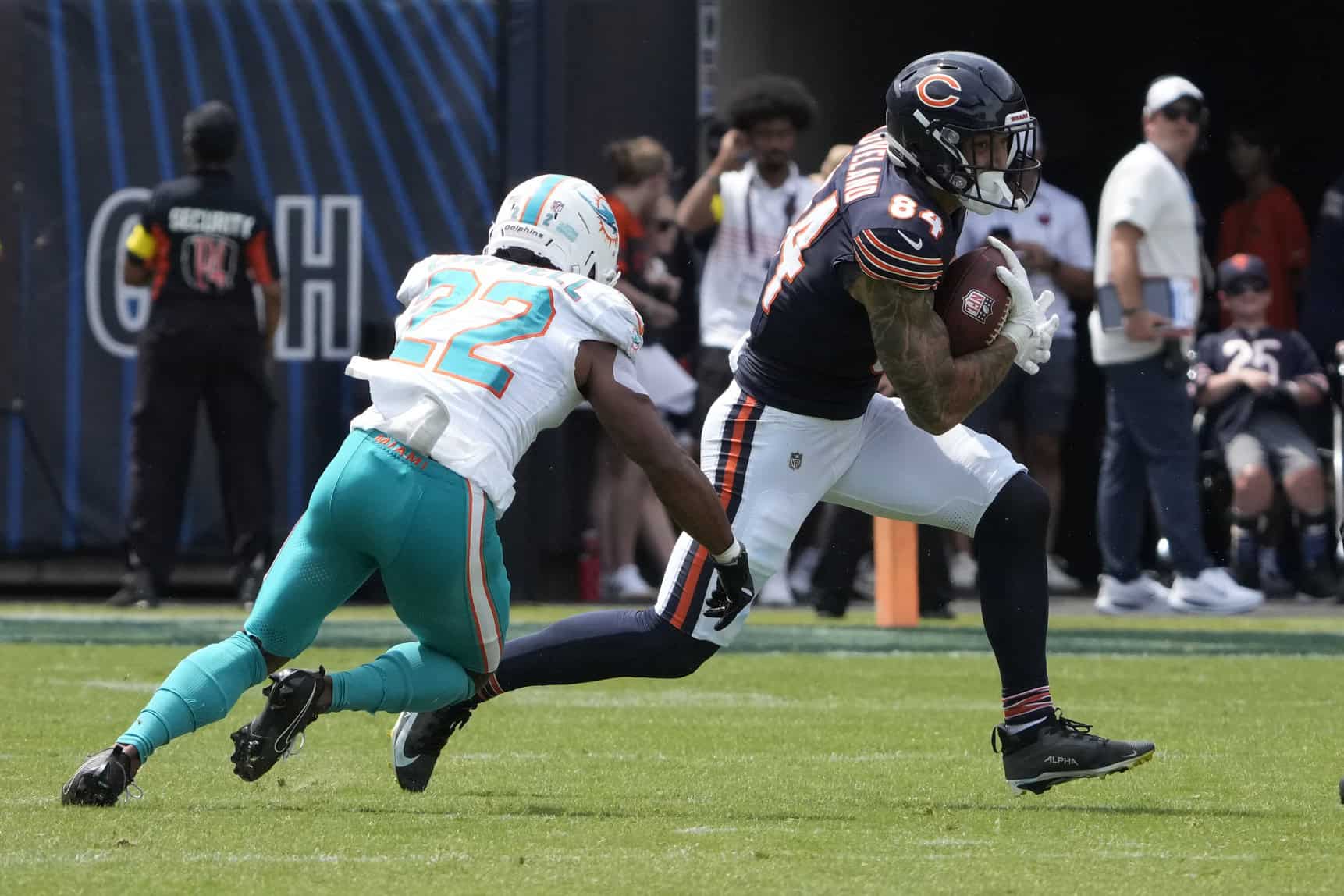 chicago bears