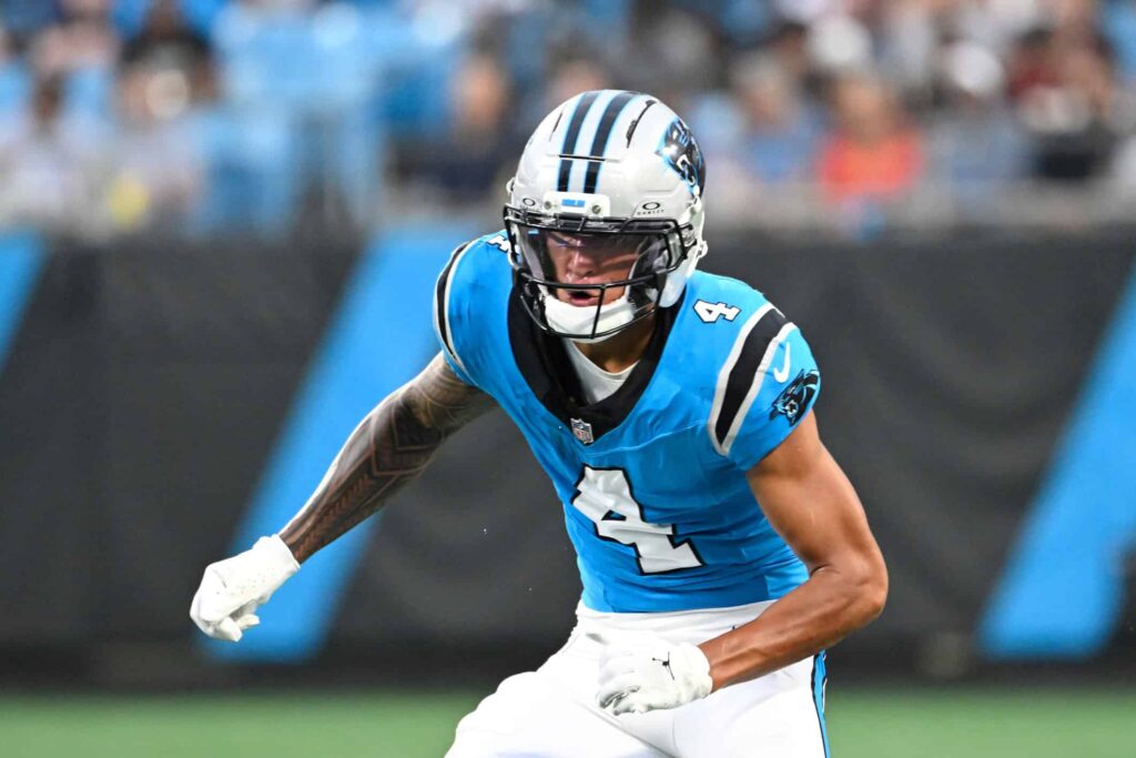 carolina panthers