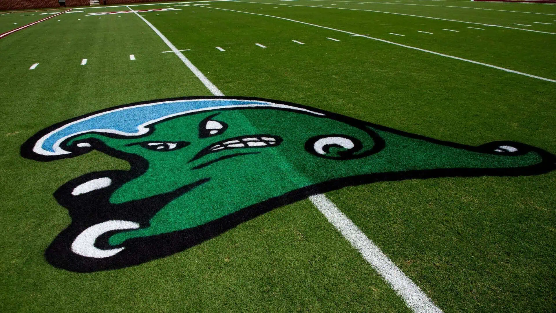 The Tulane Green Wave logo painted on the field. Image by: CHRIS LANDSBERGER/THE OKLAHOMAN / USA TODAY NETWORK via Imagn Images