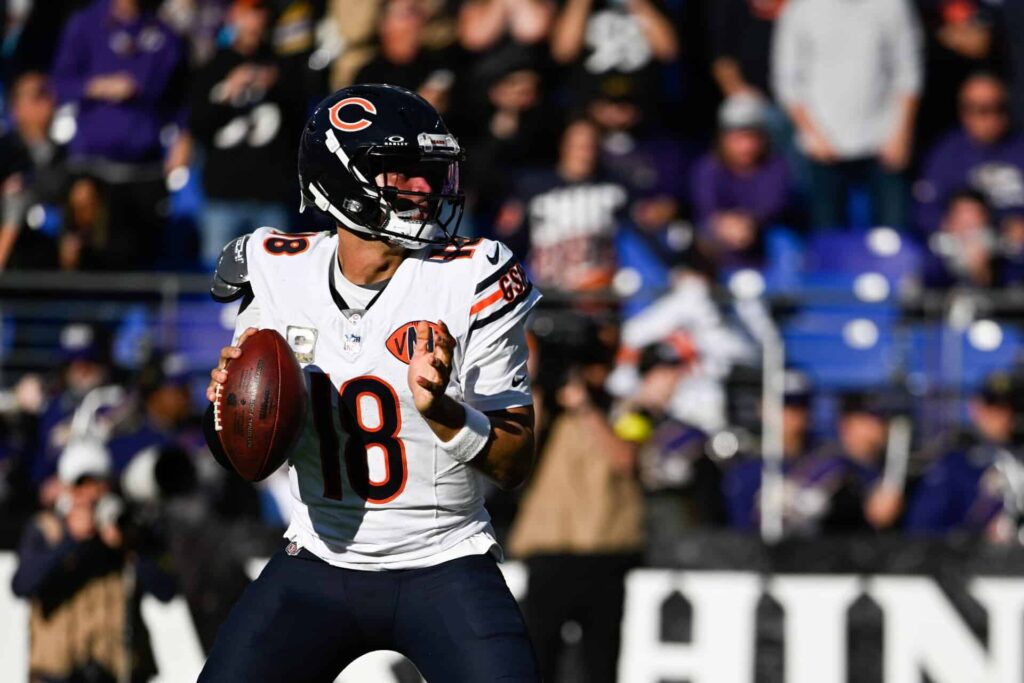 Bears