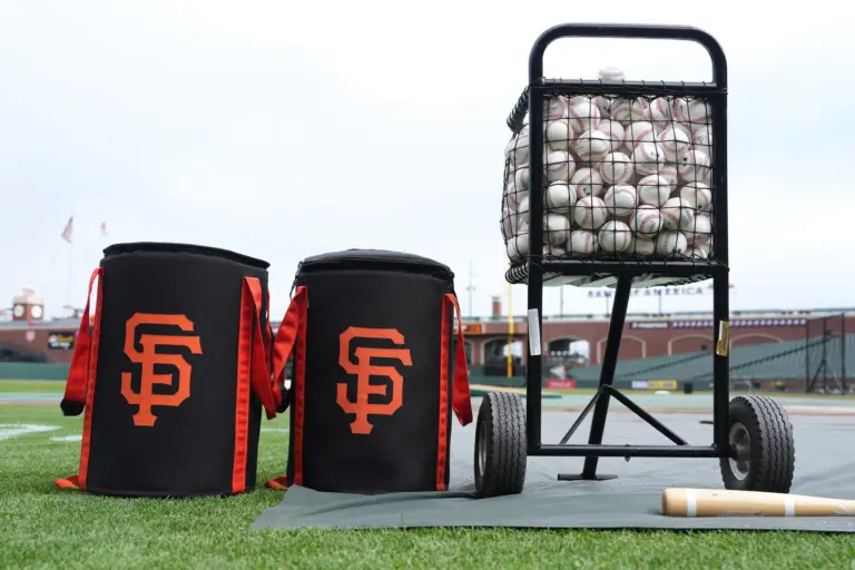 The San Francisco Giants won't pursue Tatsuya Imai.