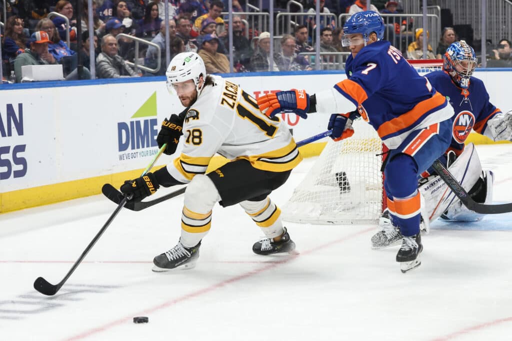 Bruins