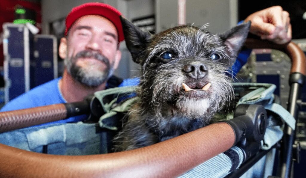 CM Punk Larry The Dog