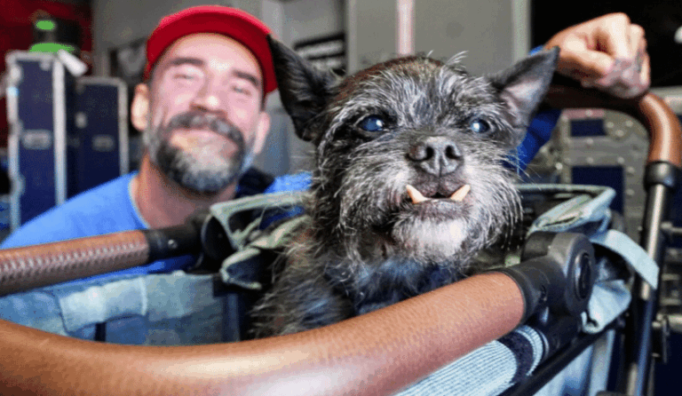 CM Punk Larry The Dog