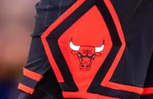 Detailed view of the Chicago Bulls logo. Stacey King