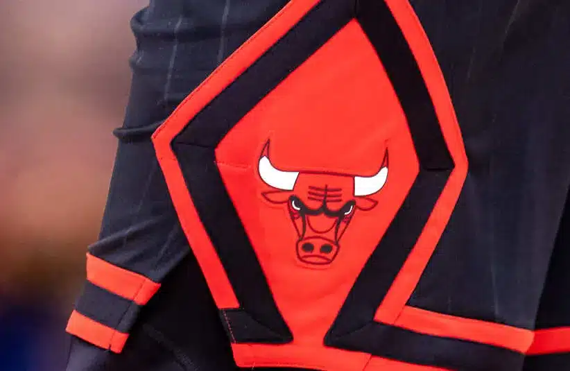 Detailed view of the Chicago Bulls logo.