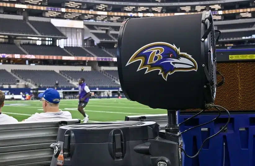 A view of the Baltimore Ravens logo.
