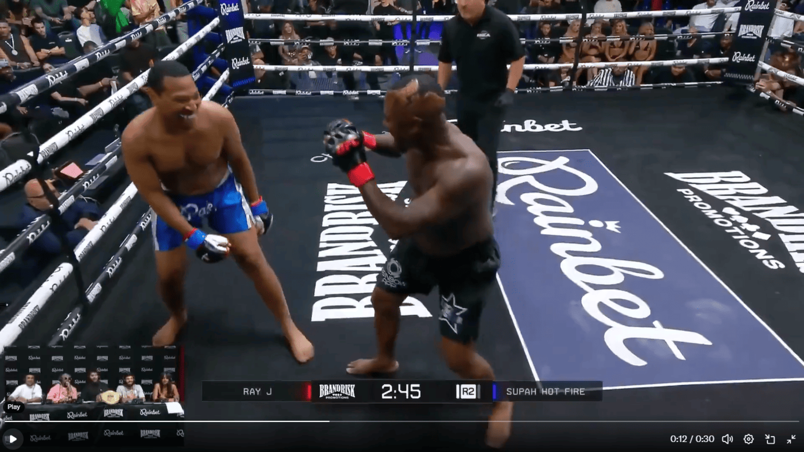 Screenshot of Ray J being knocked out courtesy of Ahmed/The Ears/IG: BigBizTheGod on X.