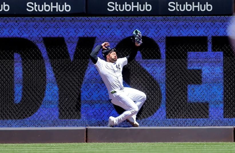New York Yankees outfielder Jasson Dominguez crashes into outfield wall