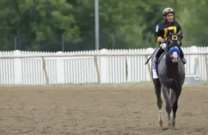 Napolean Solo (10) with Paco Lopez after winning the 151st Preakness Stakes.