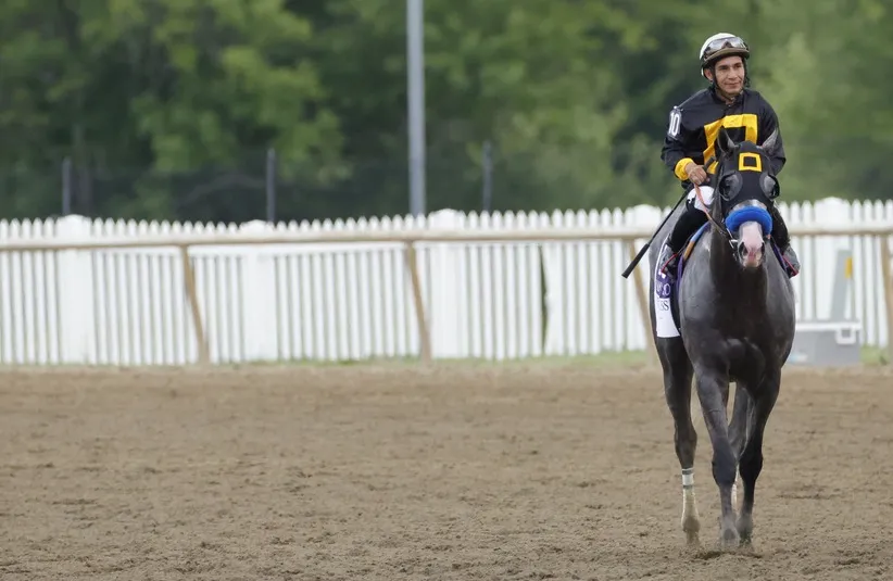 Napolean Solo (10) with Paco Lopez after winning the 151st Preakness Stakes.
