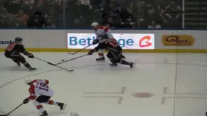 New York Islanders vs. Florida Panthers - March 24, 2013