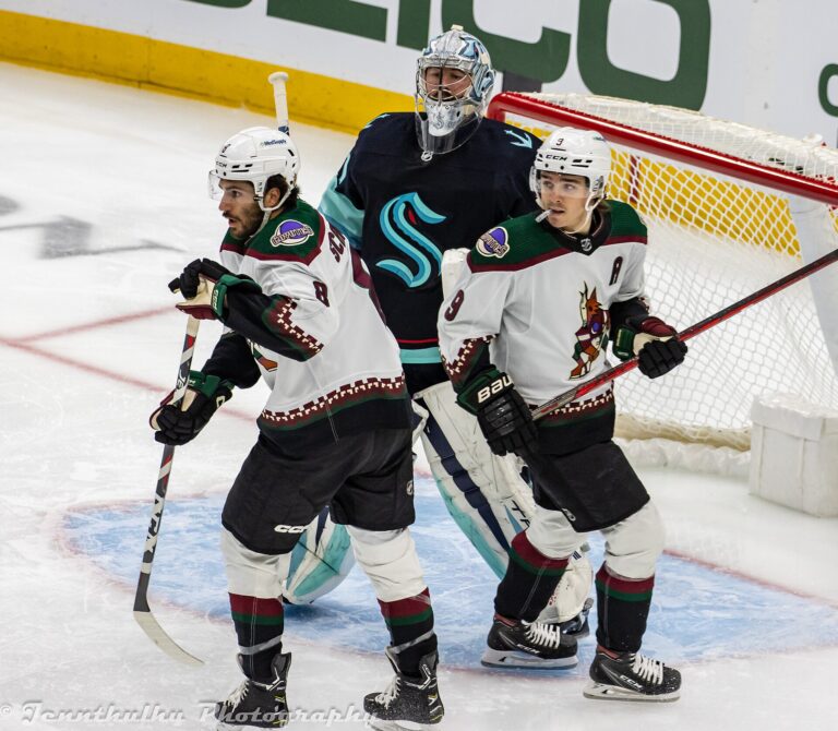 Nick Schmaltz 500 points: Schmaltz skates during an NHL game